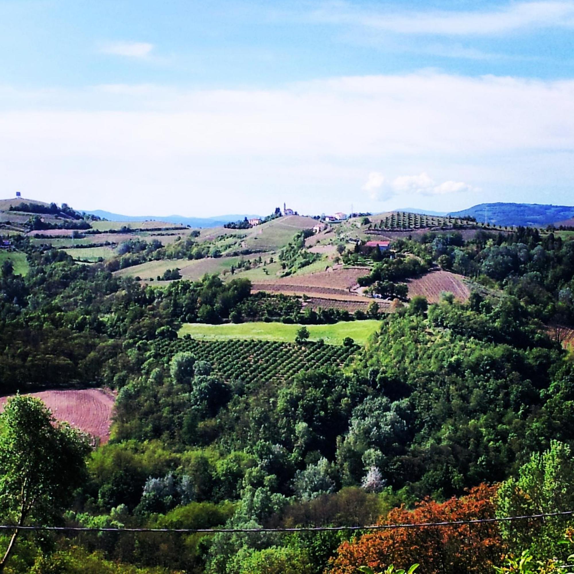Bed And Breakfast Val D'Oche Castel Boglione Екстер'єр фото